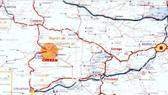 XIX Fiesta Nacional de la Planta Medicinal. Medicinas ...