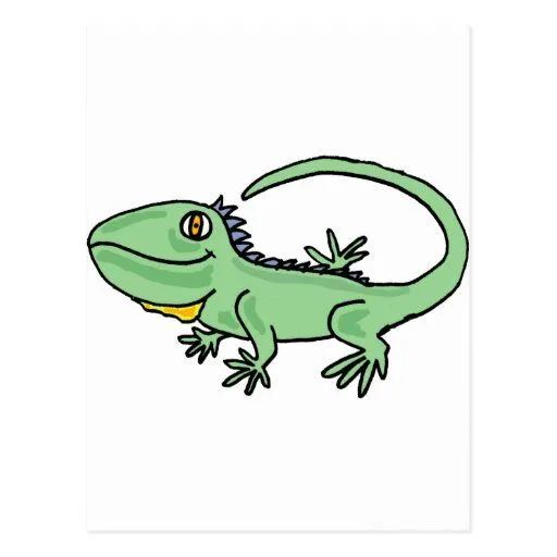 XX dibujo animado divertido de la iguana Postal | Zazzle