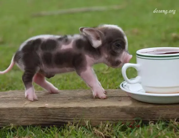 Y? ¿Te lo vas a comer ahora? - Taringa!