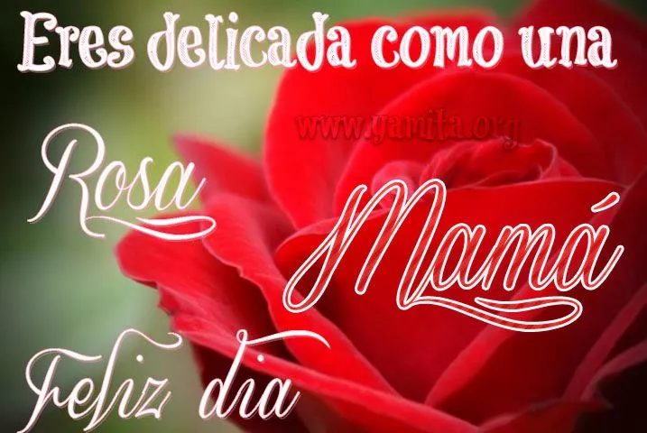 Yamita.org » Dedicatorias del día de la Madre