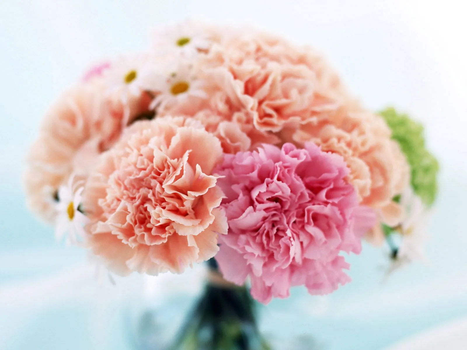 Yemay Celebraciones Diferentes: CLAVELES EN TU BODA!