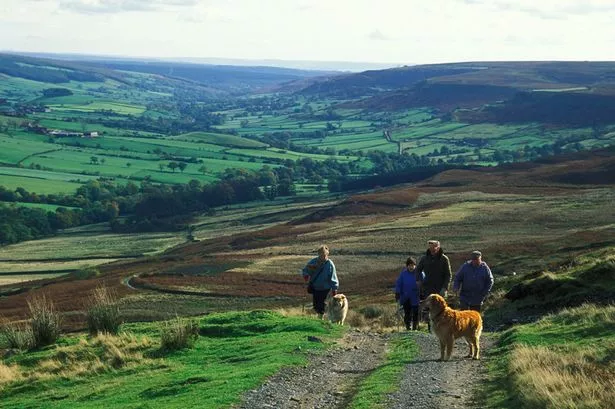 Yorkshire voted best place to visit in Europe: Paul Routledge ...