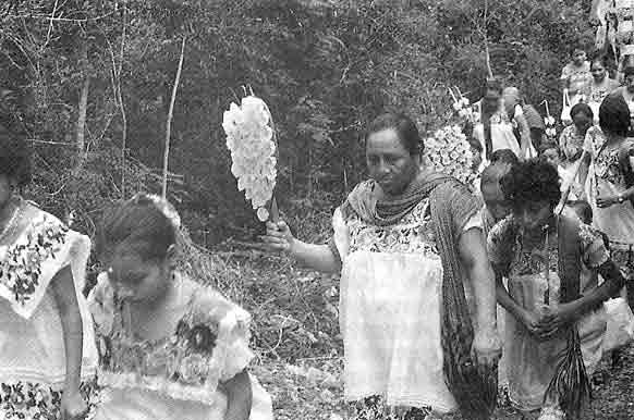 Yucatán: Identidad y Cultura Maya - Universidad Autónoma de Yucatán