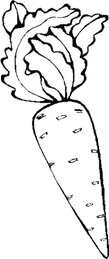 zanaho gif zanahoria dibujos de frutas y verduras para colorear