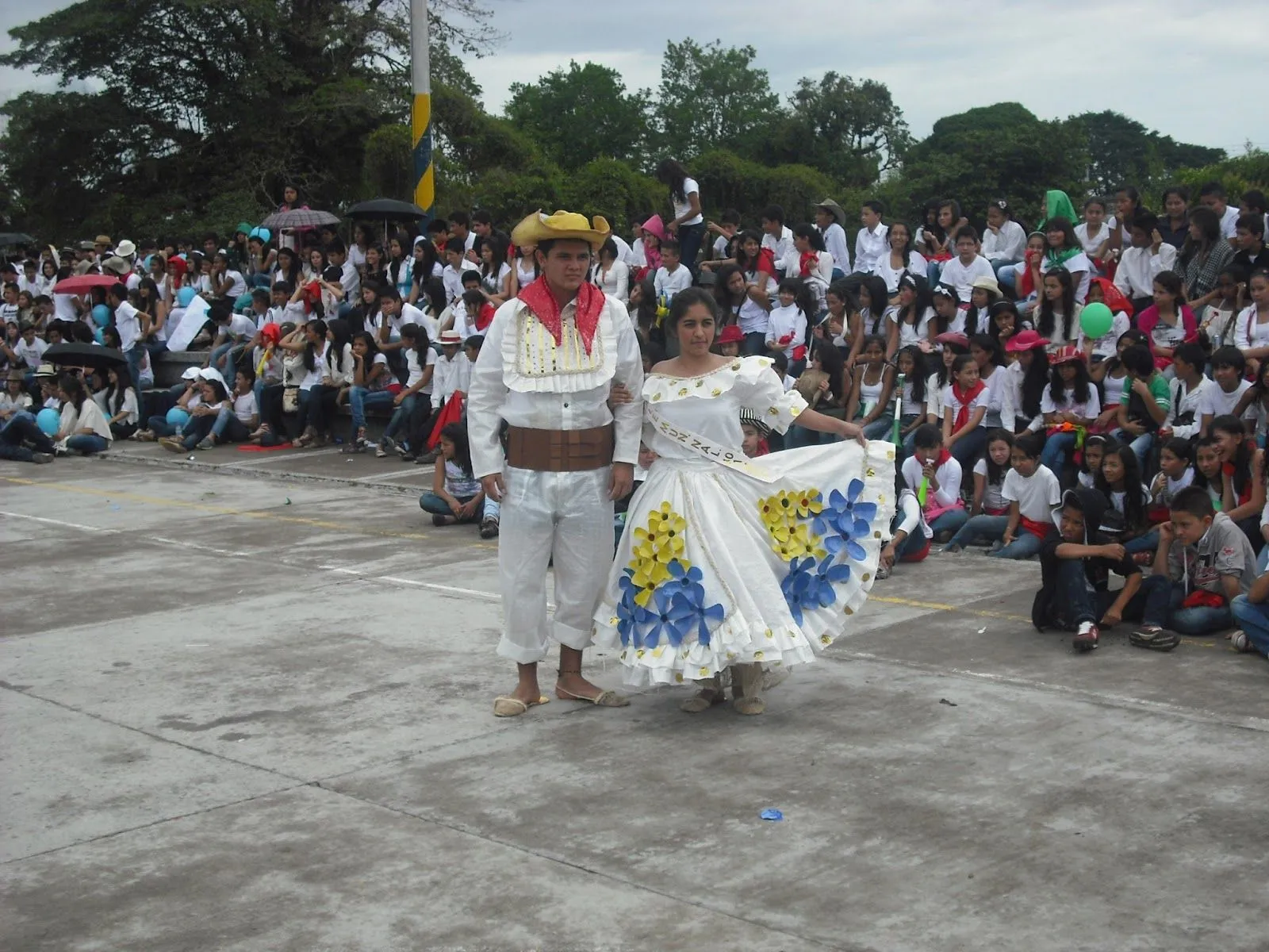 ZANCOS, LA VIDA DESDE OTRA ALTURA: 2013-