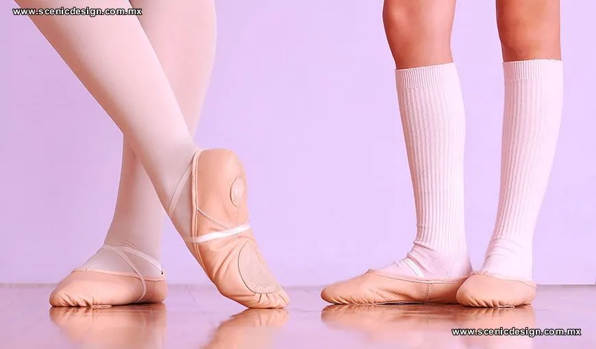 Zapatillas de Ballet — Comprar Zapatillas de Ballet, Precio de ...