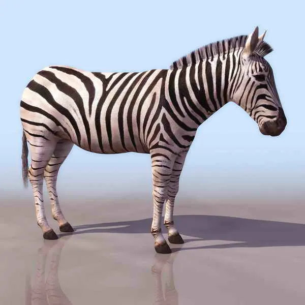 Zebra animales 4 3D Model Download,Free 3D Models Download