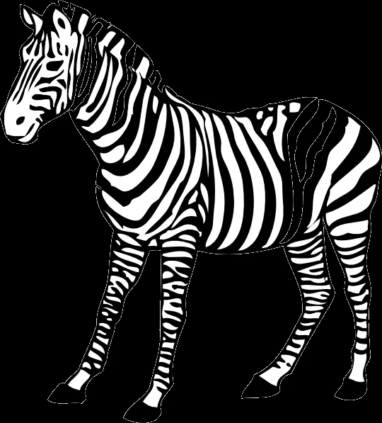 Zebra clip art - vector clip art online, royalty free & public domain