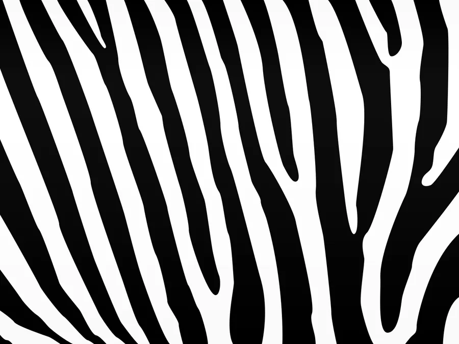 Wallpapers Collection: wallpaper zebra print