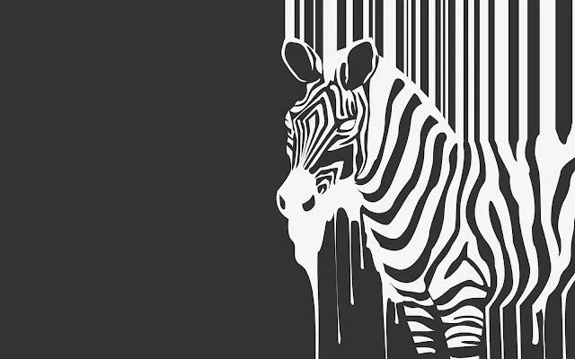 Zebra HD Wallpapers - Fondos de Pantalla HD - Wallpapers HD