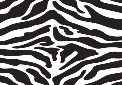 Zebra Print - Animal Images