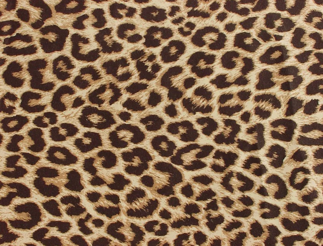 zebra print cheetah leopard giraffe animal posters th purple ...