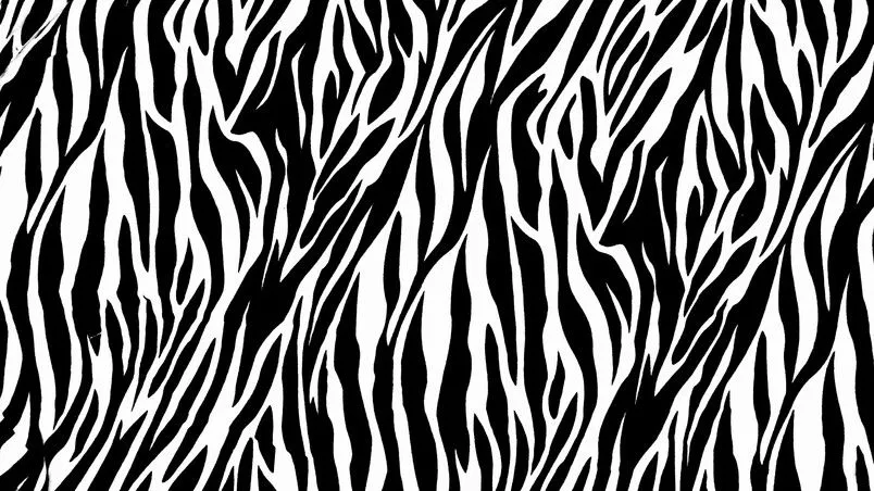 Zebra Print HD Wallpaper - WallpaperFX