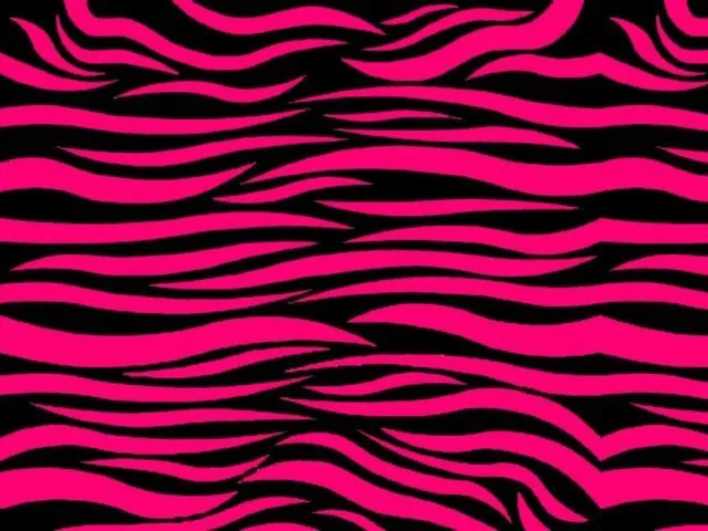 zebra print on Pinterest | 35 Pins