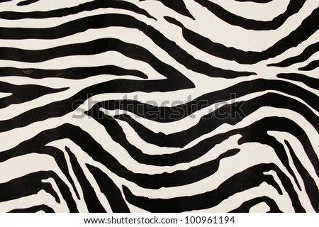 Zebra print Stock Photos, Zebra print Stock Photography, Zebra ...