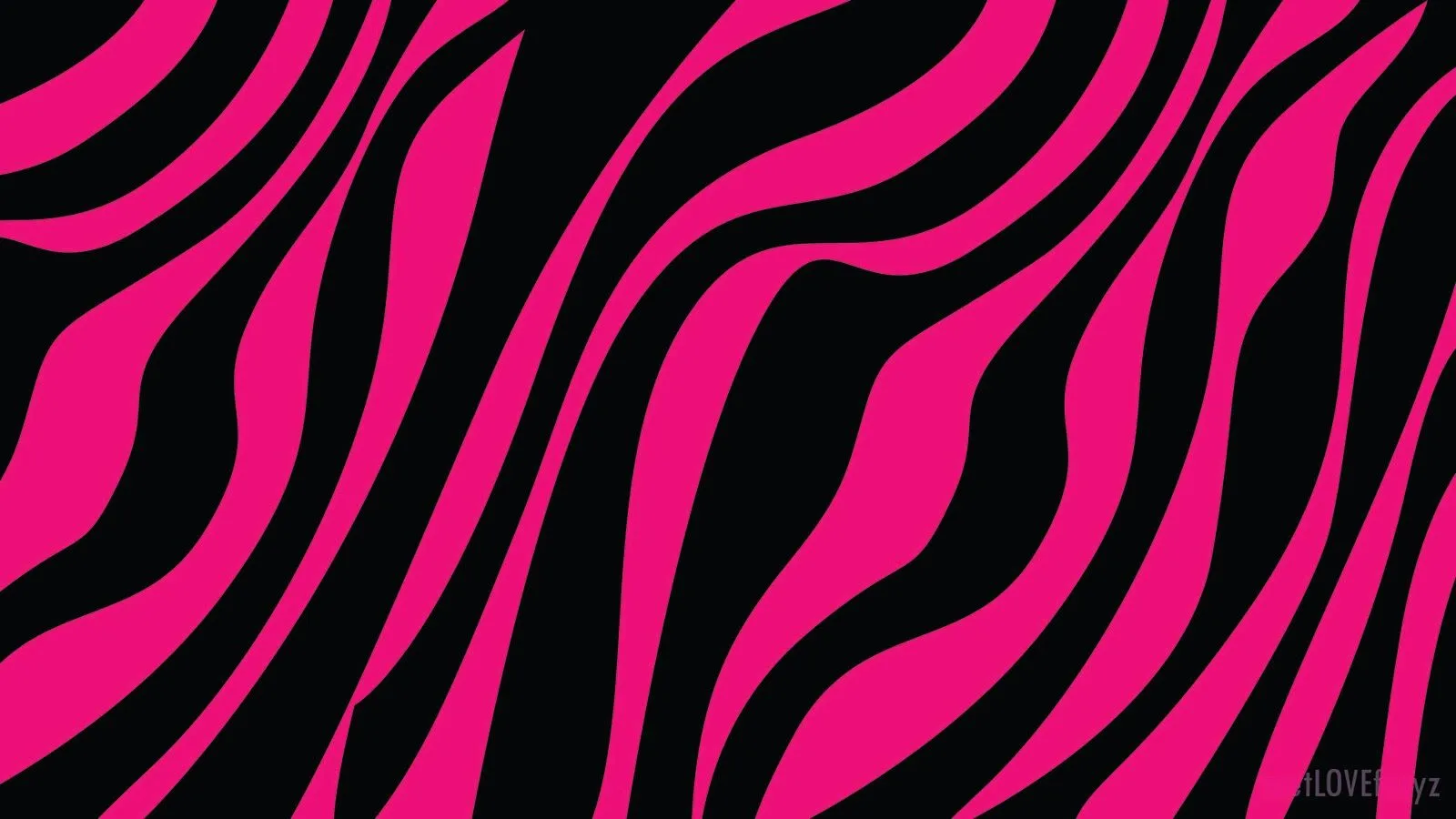 Zebra print wallpaper con rosa - Imagui