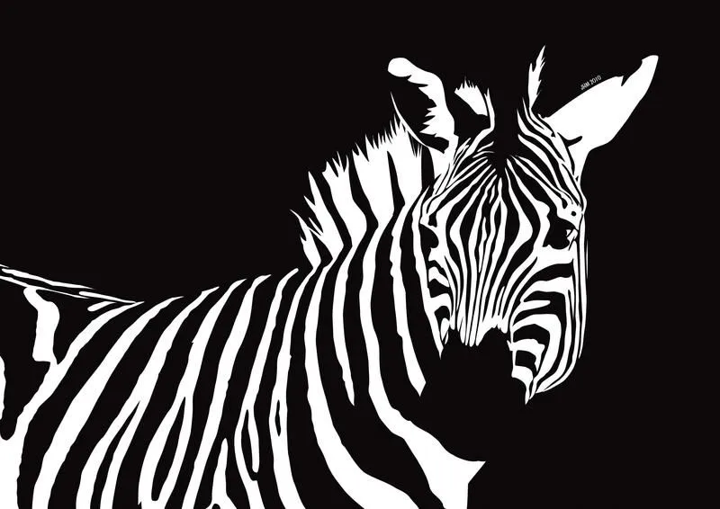 Zebra vectores - Imagui