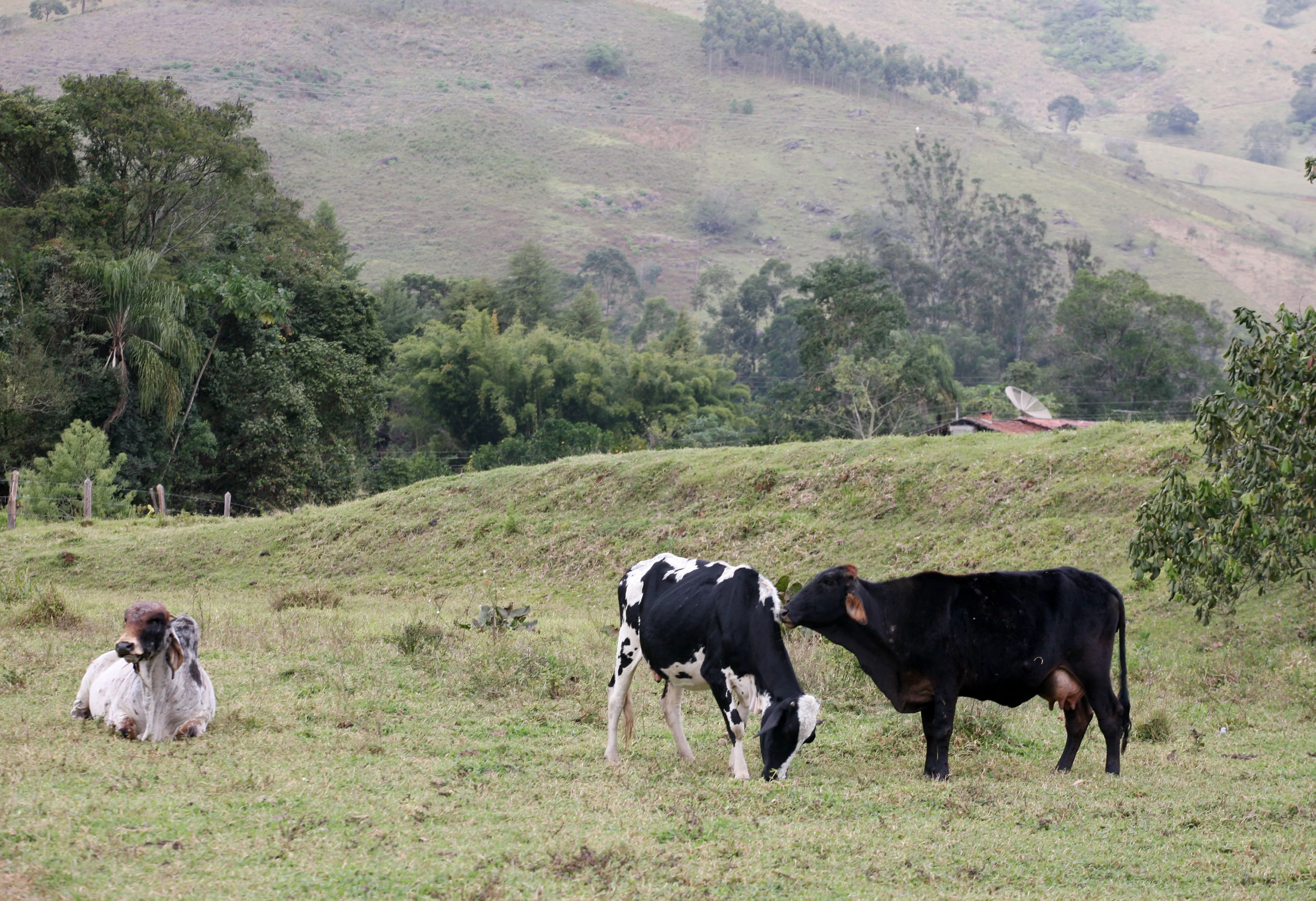 Zona rural Brasil | Flickr - Photo Sharing!