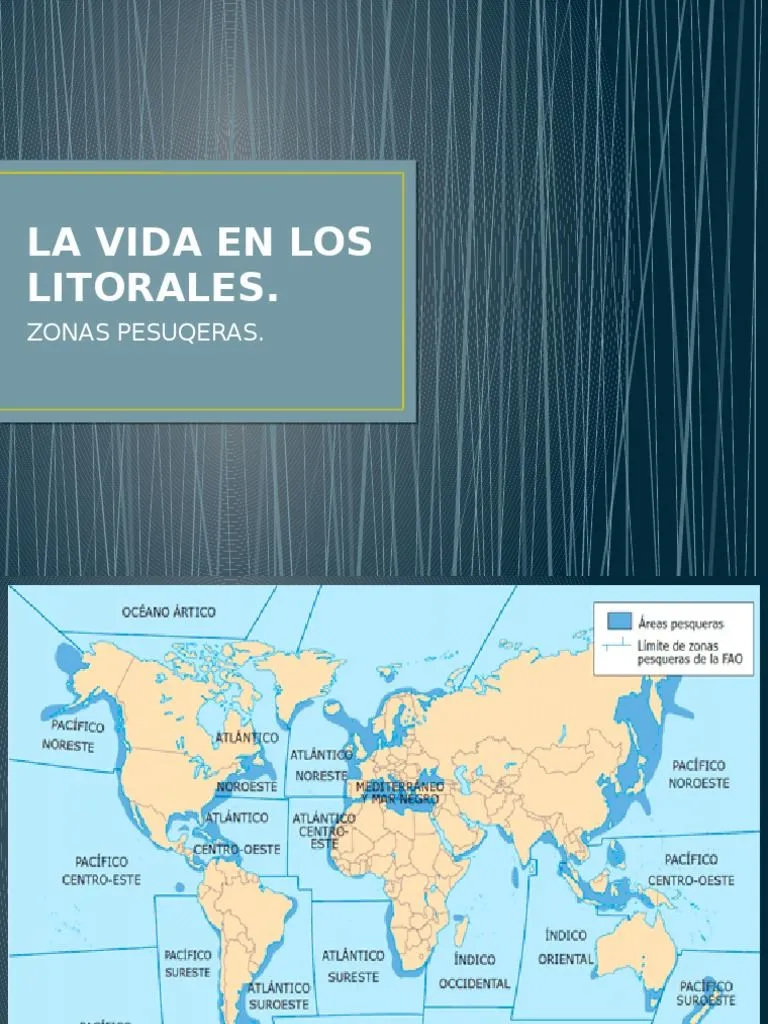 Las Zonas Pesqueras . | PDF | Pesca comercial | Mar