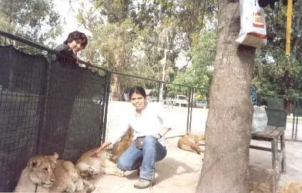 Zoologico de Lujan, con los leones bebes | Flickr - Photo Sharing!