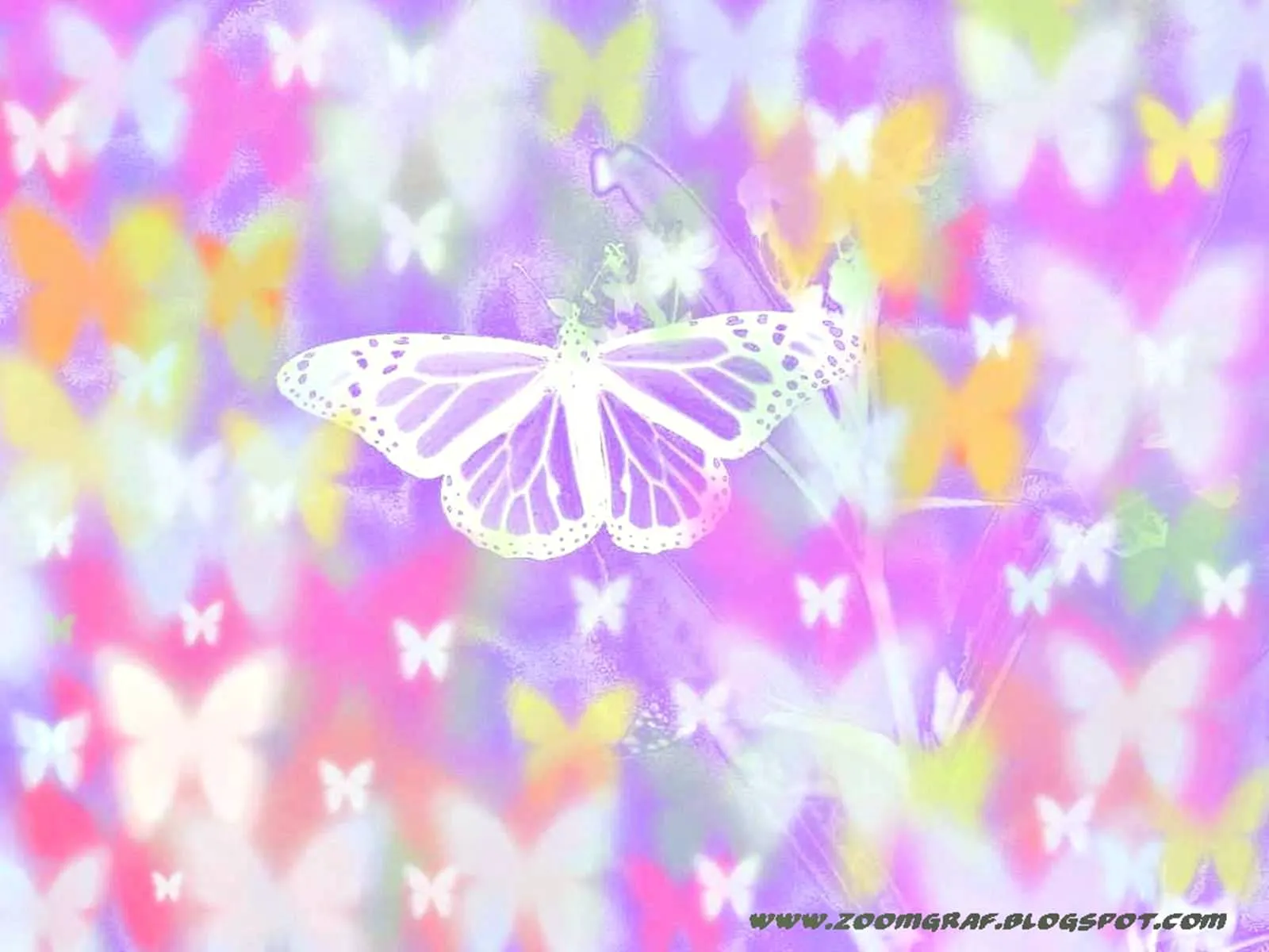 ZOOM DISEÑO Y FOTOGRAFIA: fondos con mariposas,colores pasteles