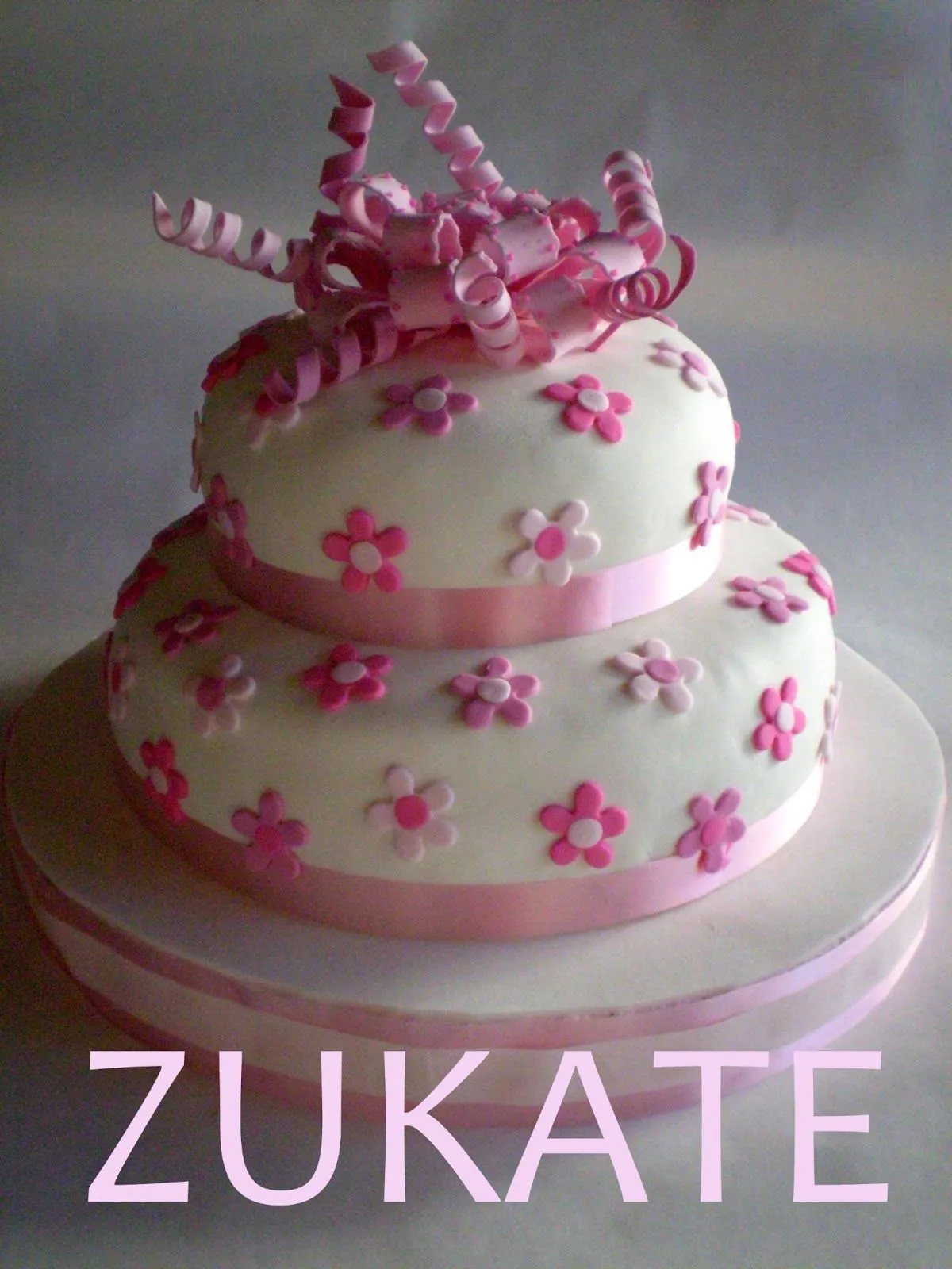 ZUKATE: diciembre 2012